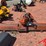 leon-3100-image-7