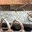 1981-mack-dm685s-image-31
