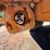 #24058-•-2009-voeller-mud-jack-h-200-image-49
