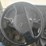 2016-international-prostar-image-58