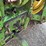 john-deere-6420-image-19