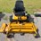 2004-walker-mtsd-image-2