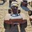 wheelhorse-commando-8-image-4