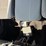 2014-ford-f350-image-20