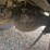 2015-international-durastar-4300-image-118