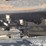 2011-freightliner-cascadia-125-image-30