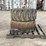 caterpillar-14-image-4
