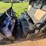 2006-polaris-ranger-image-15