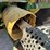john-deere-6230-image-11