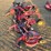 lastec-721xr-image-2