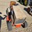 case-220-image-8