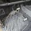 bobcat-3600-image-19