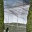25’-x-12’-metal-livestock-shed-in-crate-image-2