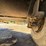 #24058-•-2009-voeller-mud-jack-h-200-image-19