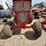 jacobsen-chief-800-image-4
