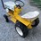 international-cub-image-2