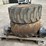 caterpillar-14-image-6