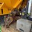 2008-international-workstar-7600-image-18