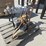 lot-of-walk-behind-concrete-saw,-image-2