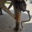 2007-manac-van-image-11