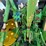 2019-john-deere-6155m-image-19