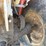 1983-massey-ferguson-1010-image-19