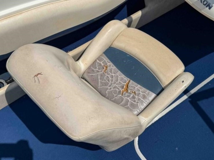 2000-glastron-17’-sx195-inboard-boat-image-13