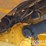 2023-volvo-a25g-image-27