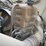 2016-international-prostar-image-30