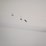 #l42-000-•-40ft-container-image-41