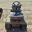 deutz-allis-613-image-4
