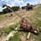 new-holland-451-image-2