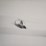 #l41-000-•-40ft-container-image-33