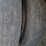 2015-international-durastar-4300-image-120