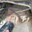 2016-international-prostar-image-113