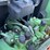 john-deere-6410-image-25