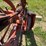 new-holland-451-image-9