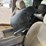 2005-gmc-yukon-image-21