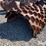 66”x51”-padfoot-shell-kit-image-3