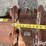 strickland-36"-backhoe-bucket-image-18