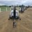2014-wacker-neuson-ltn-6-image-8