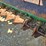john-deere-820-image-14