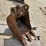 2011-wacker-neuson-1404-image-8