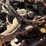 tymco-600-image-8