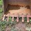gannon-36”-backhoe-bucket-image-9