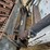 bobcat-873-image-10