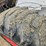 bobcat-873-image-23