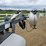 2016-wacker-neuson-ltn-6-image-13