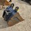 case-580-image-5