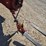 new-holland-268-image-9